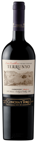 Terrunyo Carménère (Peumo Vineyard Block 27)