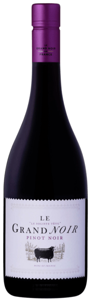 Pinot Noir