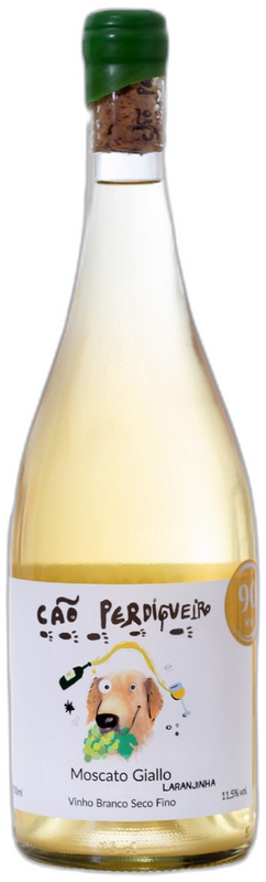 Cão Perdigueiro Moscato Giallo