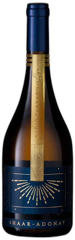 Lidio Carraro Shaar- Adonay