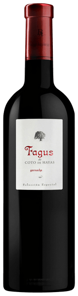 Fagus de Coto de Hayas Garnacha