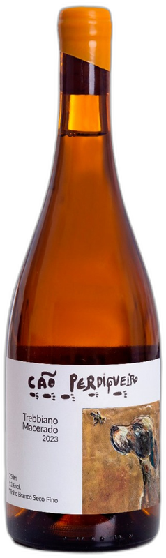 Cão Perdigueiro Trebbiano Macerado