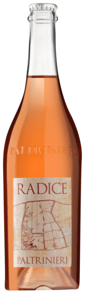 Radice