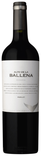Merlot Reserva