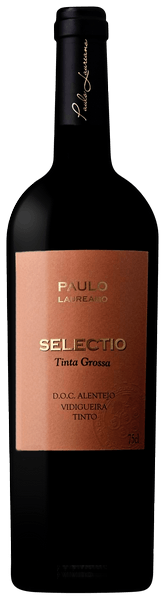 Selectio Grossa