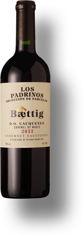 Baettig Selección de Parcelas Los Padrinos Cabernet Sauvignon