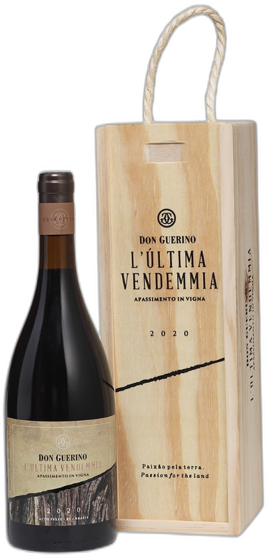 Don Guerino L'Última Vendemmia Apassimento in Vigna