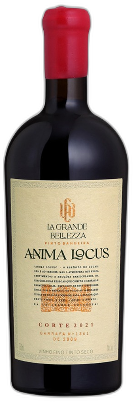 La Grande Bellezza Anima Locus Corte