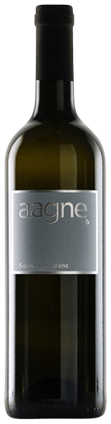 Sauvignon Blanc
