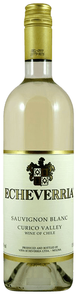Echeverría Sauvignon Blanc
