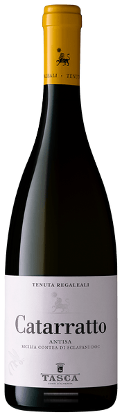 Antisa Catarratto