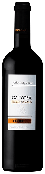 Gaivosa Primeiros Anos