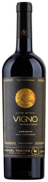 Cordillera Vigno Old Vines Carignan