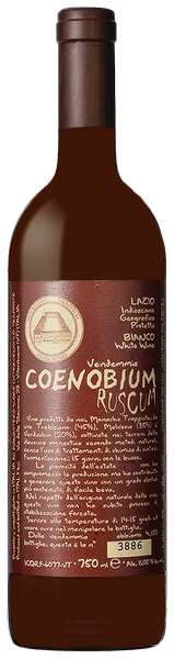 Coenobium Ruscum (Rusticum) Bianco