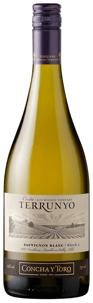 Terrunyo Sauvignon Blanc
