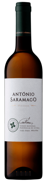 António Saramago Branco