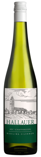 Hallauer Riesling - Silvaner