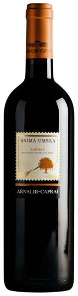 Anima Umbra