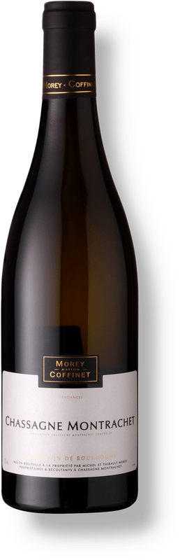 Moillard Domaine Coffinet Chassagne-Montrachet