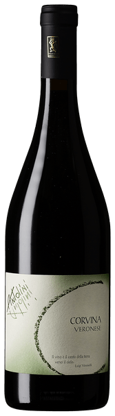 Corvina Veronese