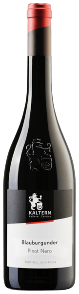 Blauburgunder (Pinot Nero)