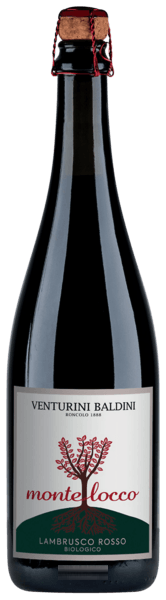 Venturini Baldini Montelocco Lambrusco Emilia