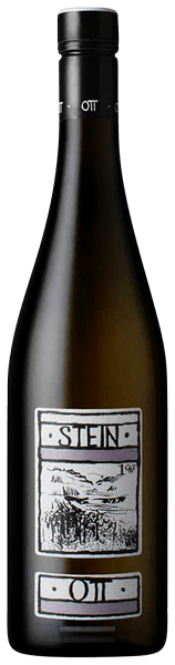 Stein