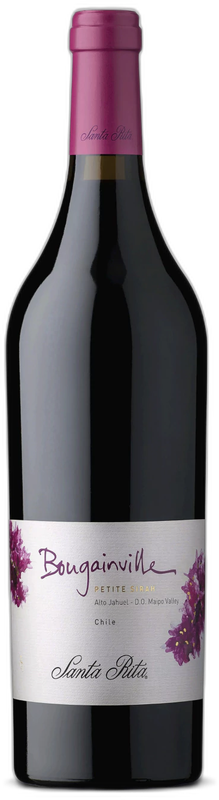 Santa Rita Bouganville