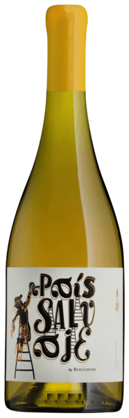 J. Bouchon Pais Salvaje Blanco