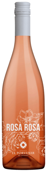 Rosa Rosa