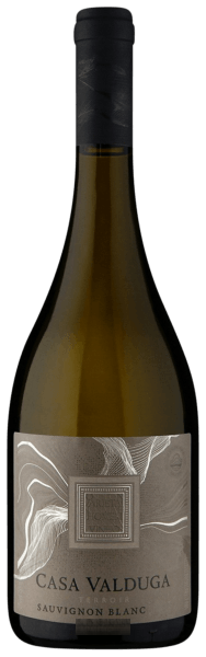 Casa Valduga Terroir Sauvignon Blanc