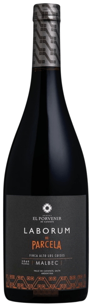 Laborum de Parcela Finca Alto Los Cuises Malbec