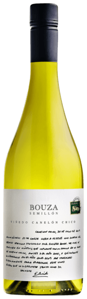 Sémillon
