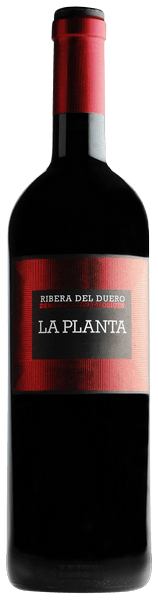 Arzuaga La Planta