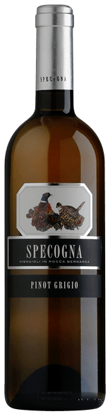 Specogna Pinot Grigio