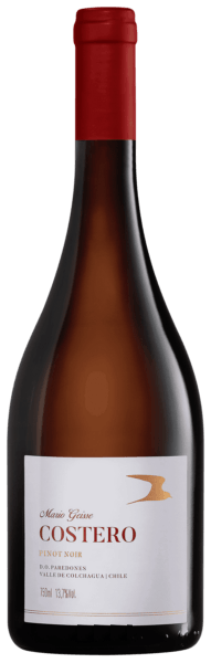 Mario Geisse Costero Pinot Noir