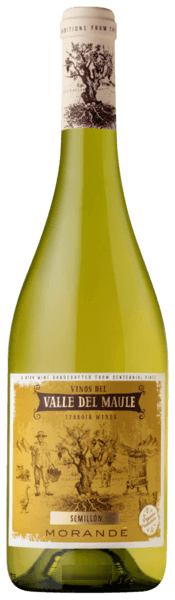 Morandé Terroir Wines Sémillon